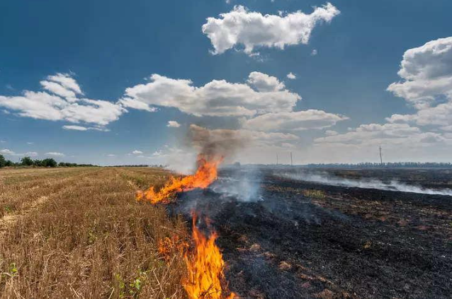 stubble burning in india.PNG